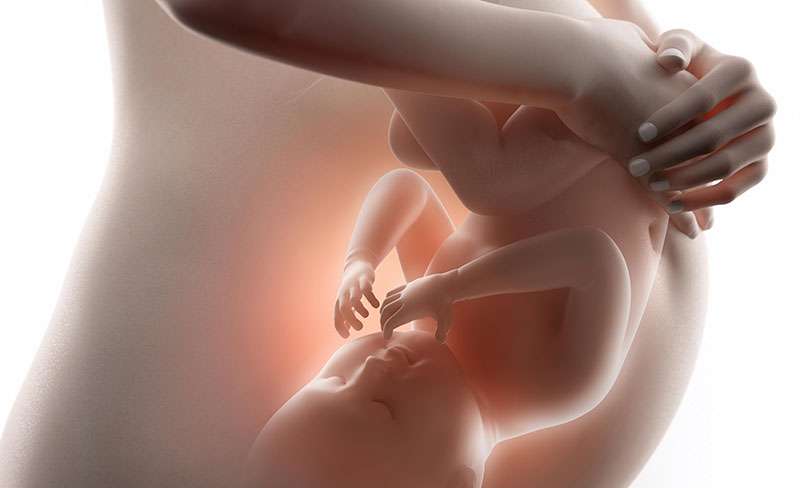 Obstetricia en Clínica Ginecológica de la Doctora Gasca