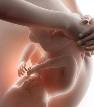 Clínica Ginecológica de la Doctora Gasca para Ginecología y Obstetricia. Diagnósticos y Tratamientos. Cita 648 232 550